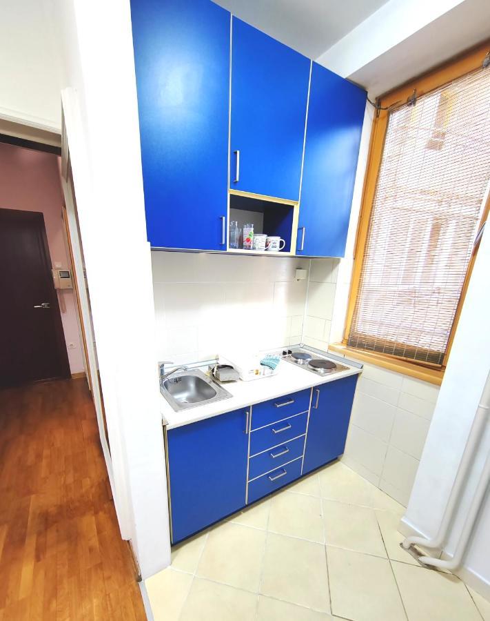 Apartmán Magenta Vracar Bělehrad Exteriér fotografie